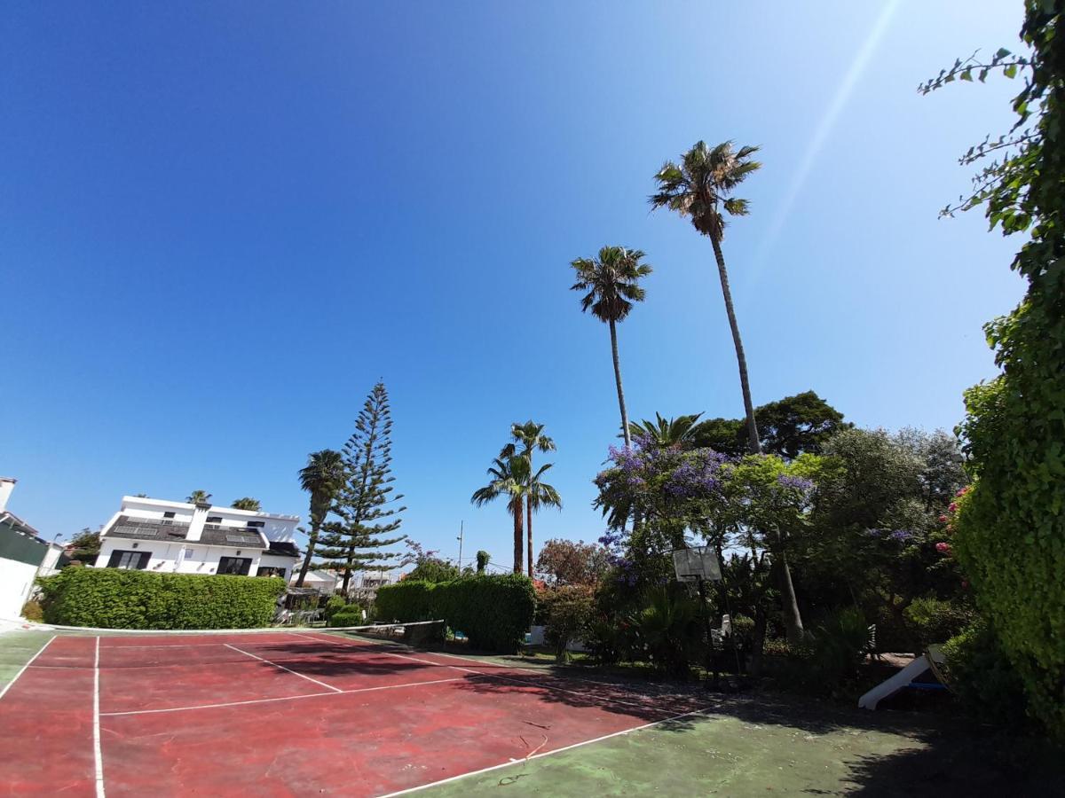 Villa Casa Das Palmeiras Шарнека Екстериор снимка